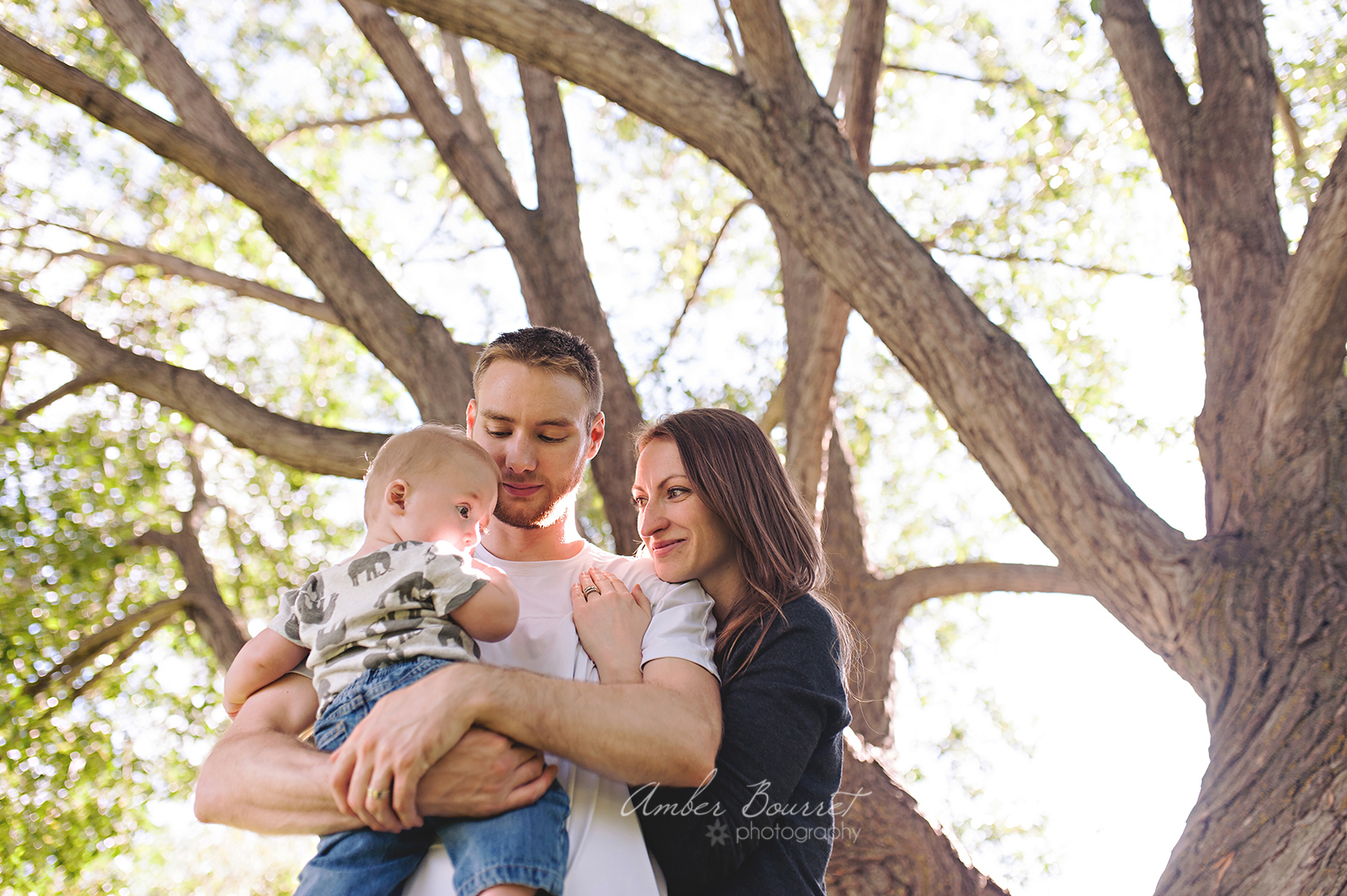 nkd-red-deer-family-photography-56